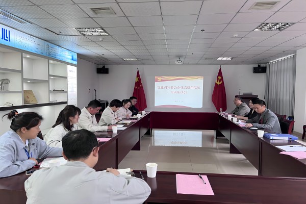長豐(雙鳳)經開區:黨建引領 統戰聚力 共繪社區治理“同心圓”1.jpg
