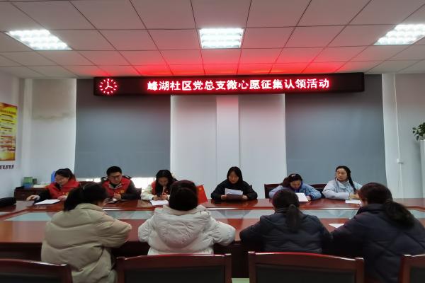 長豐(雙鳳)經(jīng)開區(qū):上好“三堂課”為黨員教育管理提質(zhì)增效1.jpg